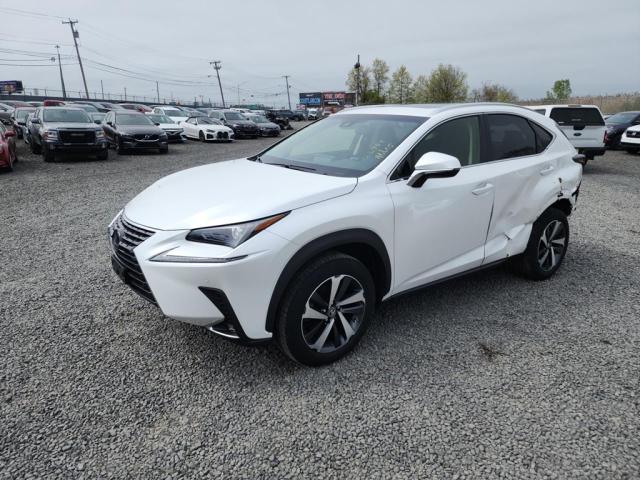 JTJBARBZ0K2188741 - 2019 LEXUS NX 300 BASE თეთრი ფოტო 2