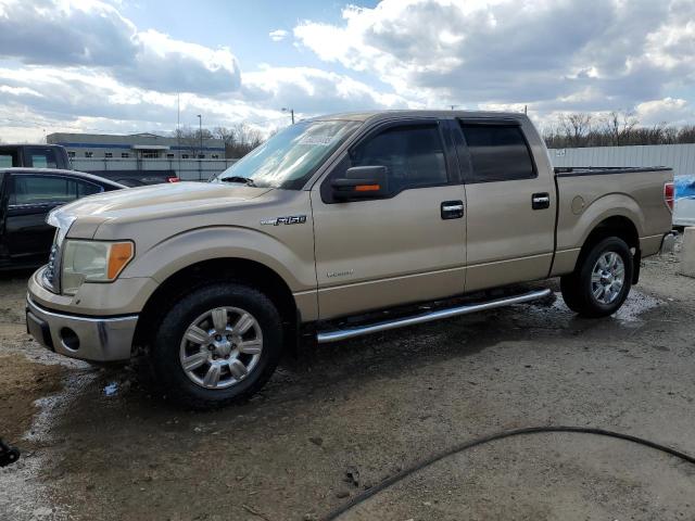 2011 FORD F150 SUPERCREW, null