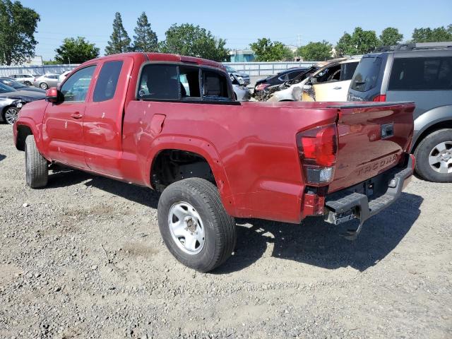 3TYSX5EN1LT002366 - 2020 TOYOTA TACOMA ACCESS CAB ბურგუნდია ფოტო 2
