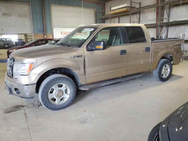 2013 FORD F150 SUPERCREW, 