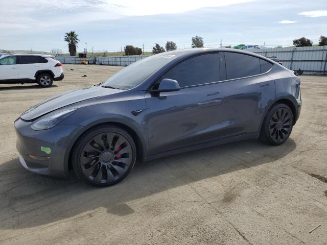 2023 TESLA MODEL Y, null