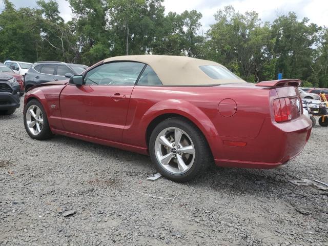 1ZVHT85H575269130 - 2007 FORD MUSTANG GT RED photo 2