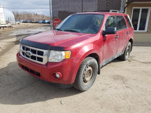 1FMCU9D78BKA10498 - 2011 FORD ESCAPE XLT RED photo 1