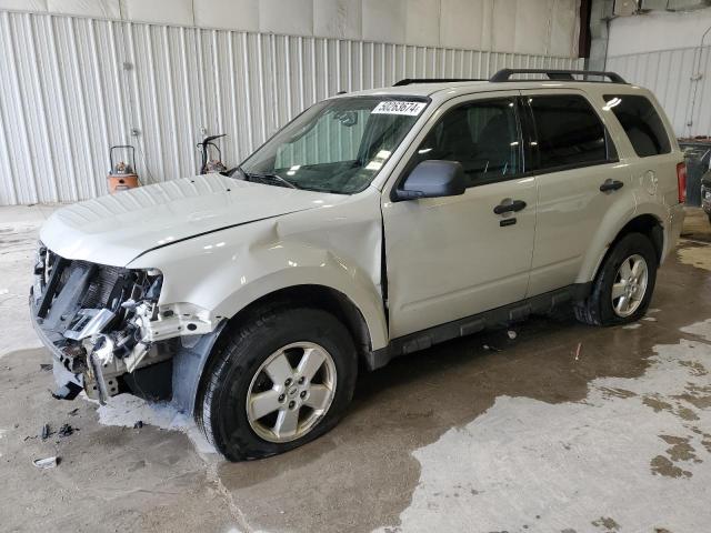 2009 FORD ESCAPE XLT, 