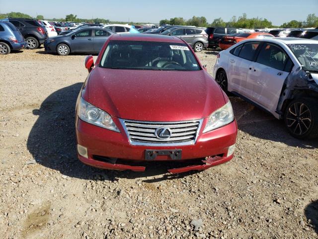 JTHBK1EG7A2401287 - 2010 LEXUS ES 350 RED photo 5