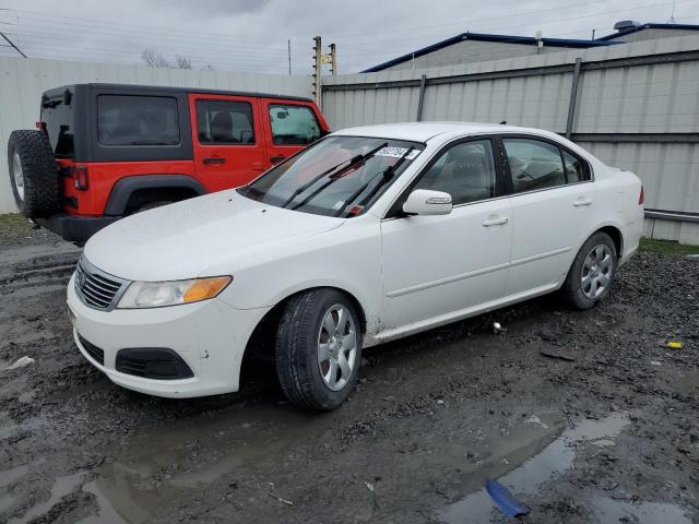 KNAGE228695338059 - 2009 KIA OPTIMA LX WHITE photo 1