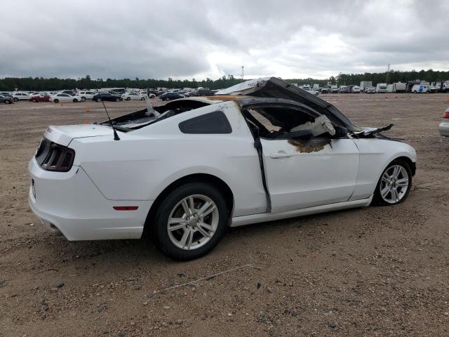 1ZVBP8AM5E5245257 - 2014 FORD MUSTANG WHITE photo 3