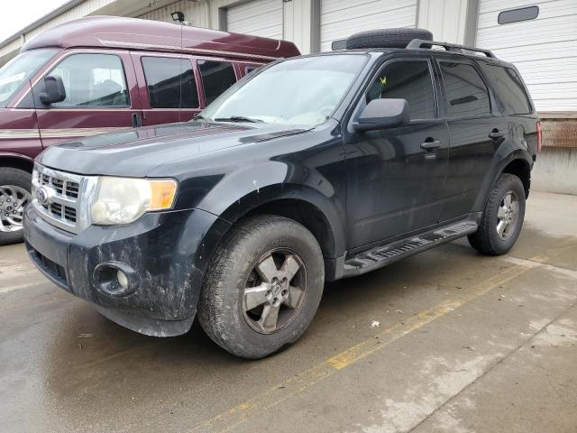 2010 FORD ESCAPE XLT, 