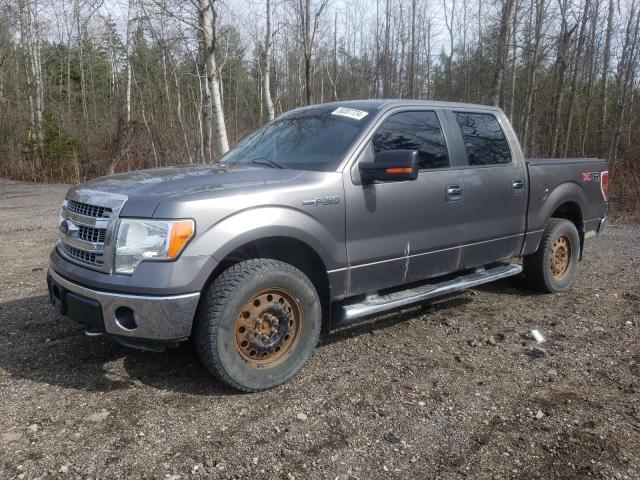 2013 FORD F150 SUPERCREW, 