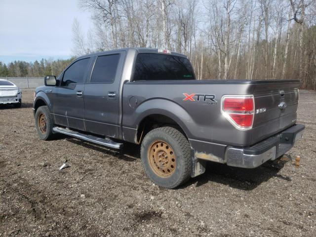 1FTFW1EF3DFD06995 - 2013 FORD F150 SUPERCREW GRAY photo 2