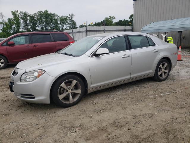 1G1ZC5EU6BF347297 - 2011 CHEVROLET MALIBU 1LT 银色 照片 1
