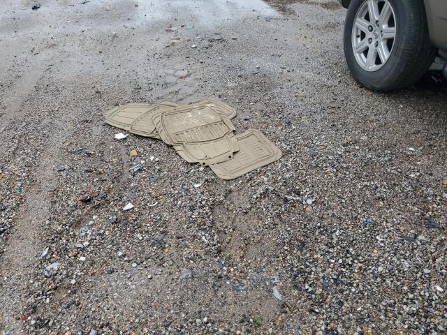 1A8HX58P87F555842 - 2007 CHRYSLER ASPEN LIMITED 金色 照片 13