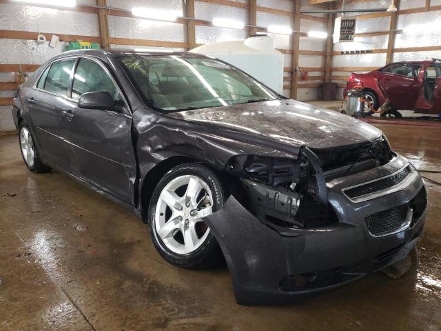 2010 CHEVROLET MALIBU LS, 