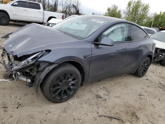 2023 TESLA MODEL Y, 