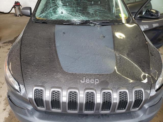 1C4PJMBS7EW186304 - 2014 JEEP CHEROKEE TRAILHAWK 灰色 照片 11