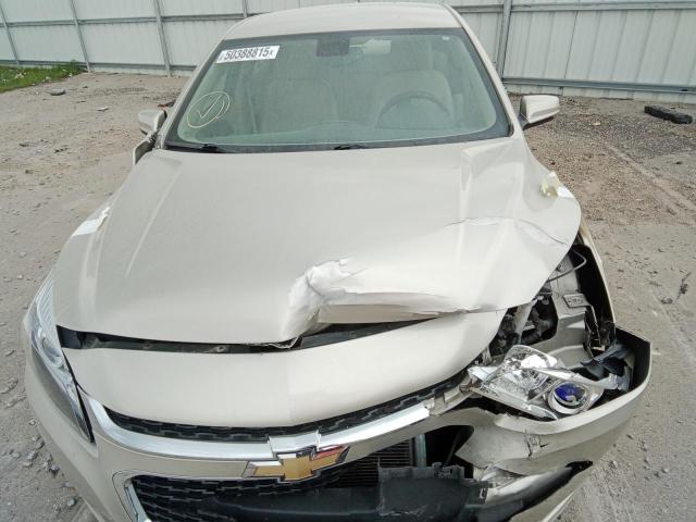 1G11C5SL7EF222502 - 2014 CHEVROLET MALIBU 1LT TAN photo 12