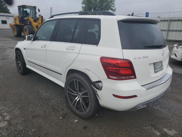 WDCGG0EB9FG431239 - 2015 MERCEDES-BENZ GLK 250 BLUETEC WHITE photo 2