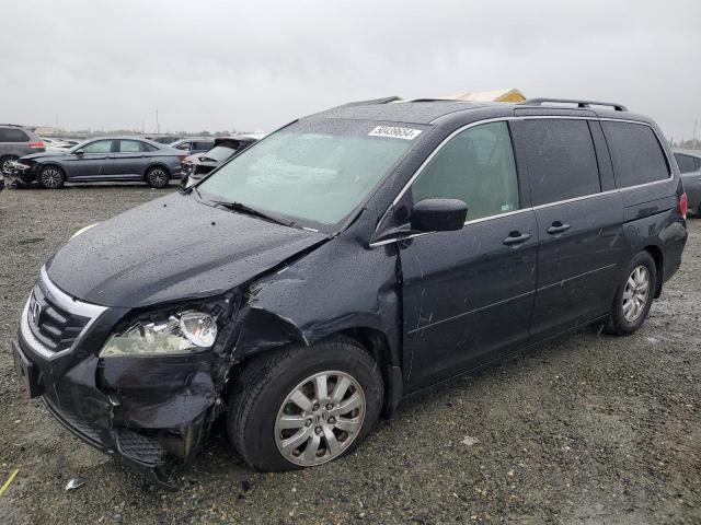 5FNRL38618B054946 - 2008 HONDA ODYSSEY EXL BLACK photo 1