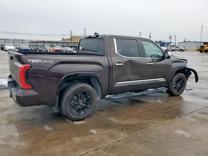 5TFMC5DB4PX020416 - 2023 TOYOTA TUNDRA CREWMAX PLATINUM BROWN photo 3
