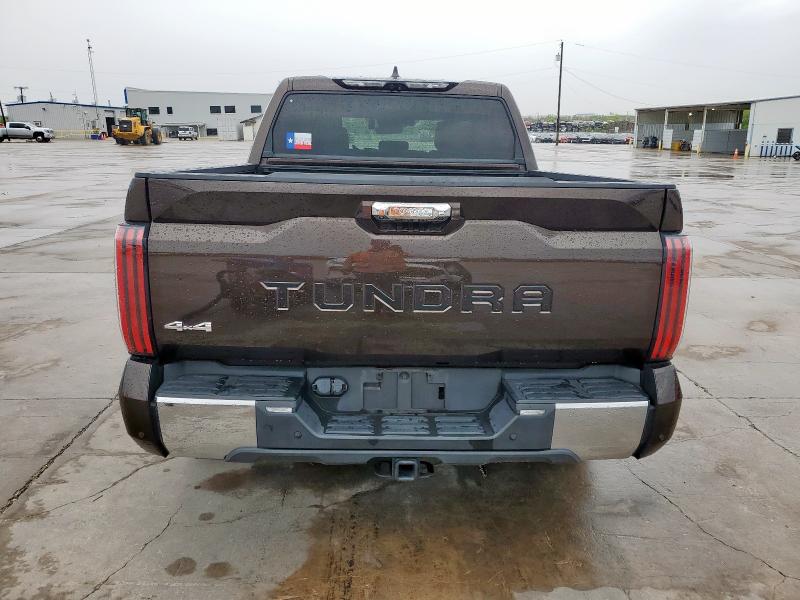 5TFMC5DB4PX020416 - 2023 TOYOTA TUNDRA CREWMAX PLATINUM BROWN photo 6