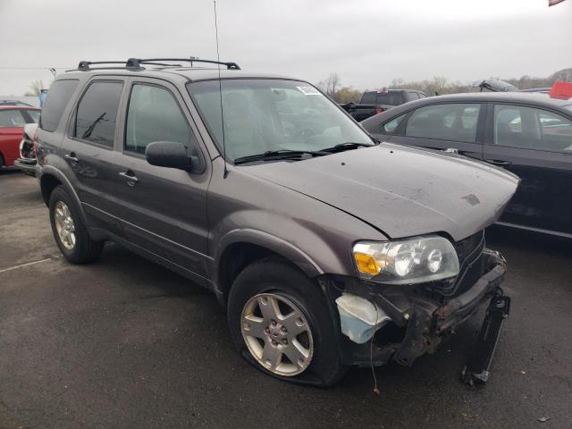 1FMYU94116KC94340 - 2006 FORD ESCAPE LIMITED GRAY photo 4