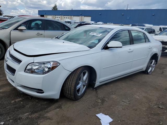 1G1ZC5E15BF341657 - 2011 CHEVROLET MALIBU 1LT 白色 照片 1