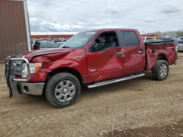 2013 FORD F150 SUPERCREW, 