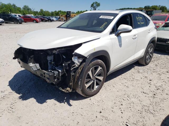 JTJGARBZ1L5008365 - 2020 LEXUS NX 300 WHITE photo 1