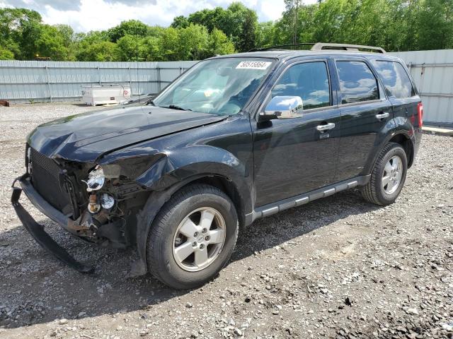 2011 FORD ESCAPE XLT, 