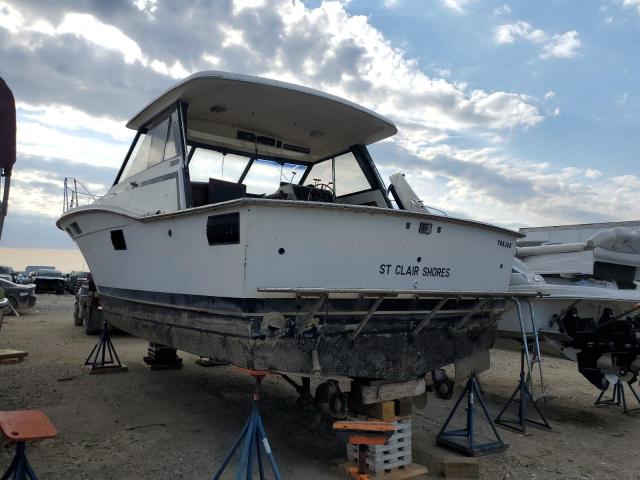 TRJ060850676 - 1976 TROJ BOAT WHITE photo 3