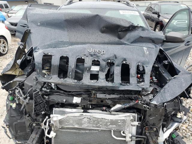 1C4PJMBS2GW220751 - 2016 JEEP CHEROKEE TRAILHAWK ლურჯი ფოტო 12