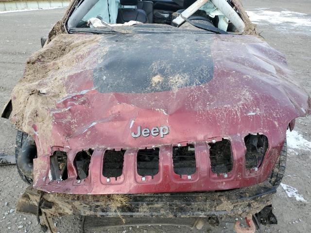 1C4PJMBX4KD187705 - 2019 JEEP CHEROKEE TRAILHAWK RED photo 12