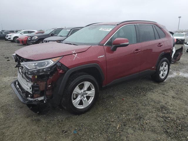 2T3RWRFV7LW046468 - 2020 TOYOTA RAV4 XLE BURGUNDY photo 1