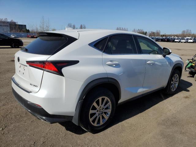 JTJBARBZ3K2194596 - 2019 LEXUS NX 300 BASE WHITE photo 3