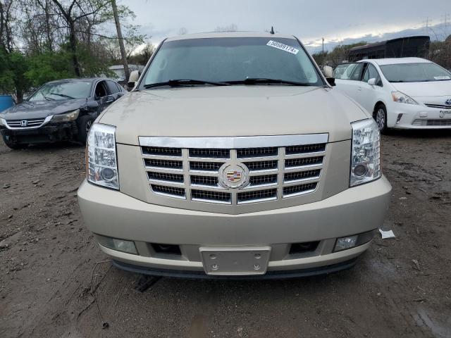 1GYFK63838R152560 - 2008 CADILLAC ESCALADE LUXURY BEIGE photo 5