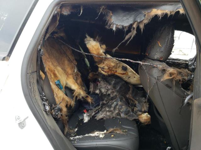 1C4PJMBX6LD654477 - 2020 JEEP CHEROKEE TRAILHAWK WHITE photo 10