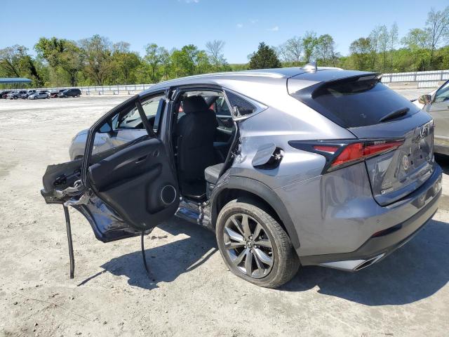 JTJSARBZ3M2196481 - 2021 LEXUS NX 300 BASE Boz foto 2