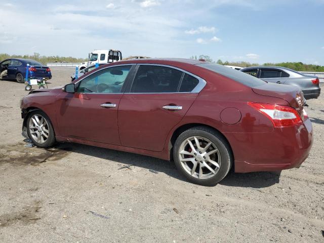 1N4AA5APXAC849441 - 2010 NISSAN MAXIMA S RED photo 2