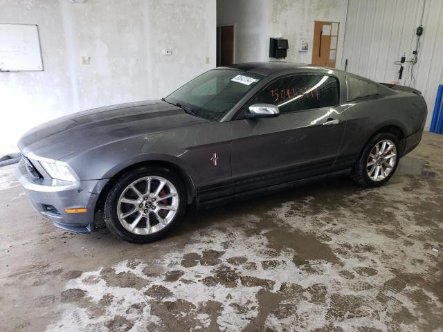 1ZVBP8AN9A5131684 - 2010 FORD MUSTANG GRAY photo 1