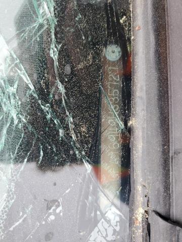 2HGFA16949H335727 - 2009 HONDA CIVIC EXL GRAY photo 12