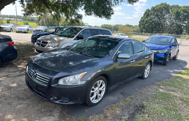 1N4AA5AP9DC835793 - 2013 NISSAN MAXIMA S GRAY photo 2