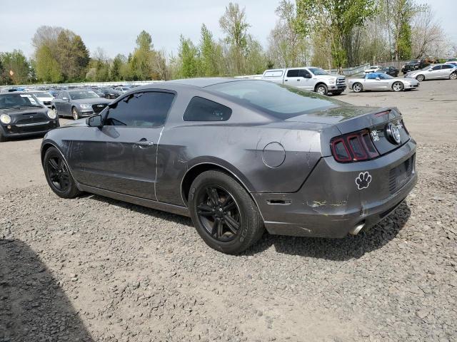 1ZVBP8AM3E5317072 - 2014 FORD MUSTANG CHARCOAL photo 2