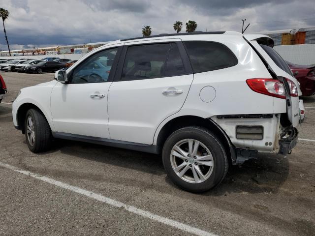 5NMSKDAG7AH337806 - 2010 HYUNDAI SANTA FE LIMITED WHITE photo 2