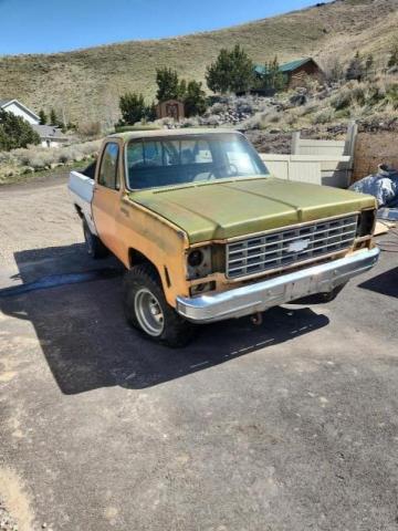 CKL146F405263 - 1976 CHEVROLET C/K 1500 S TWO TONE photo 1