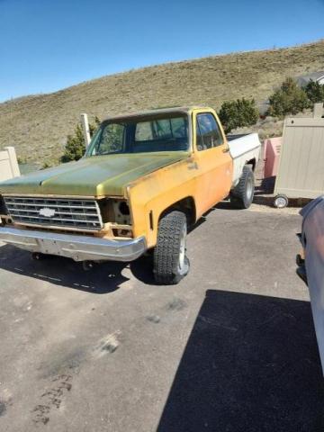 CKL146F405263 - 1976 CHEVROLET C/K 1500 S TWO TONE photo 2