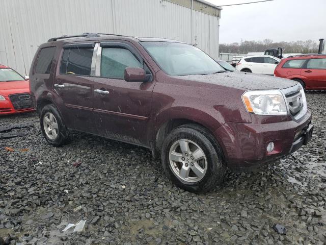 5FNYF4H59BB027906 - 2011 HONDA PILOT EXL BURGUNDY photo 4