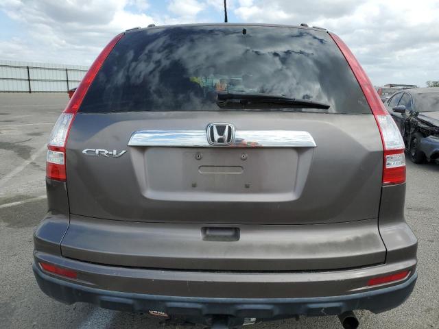 5J6RE3H76AL041271 - 2010 HONDA CR-V EXL GRAY photo 6