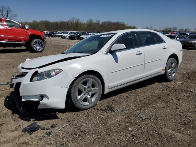1G1ZH57B39F109933 - 2009 CHEVROLET MALIBU 1LT WHITE photo 1