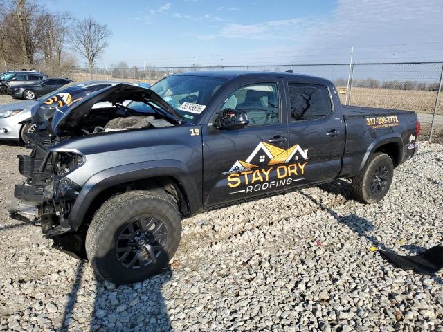 3TMBZ5DN3PM038606 - 2023 TOYOTA TACOMA DOUBLE CAB Graphit Foto 1