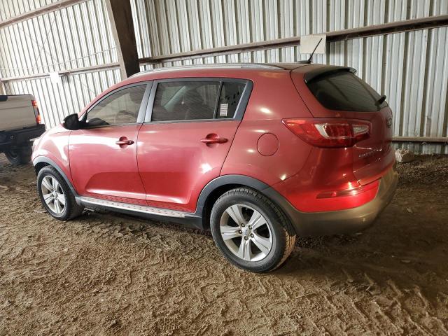 KNDPB3A20C7330095 - 2012 KIA SPORTAGE BASE RED photo 2